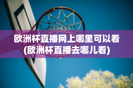 欧洲杯直播网上哪里可以看(欧洲杯直播去哪儿看)