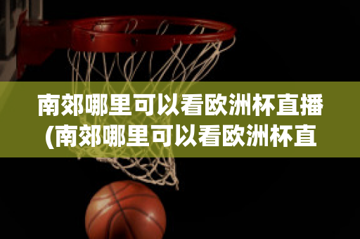 南郊哪里可以看欧洲杯直播(南郊哪里可以看欧洲杯直播的地方)