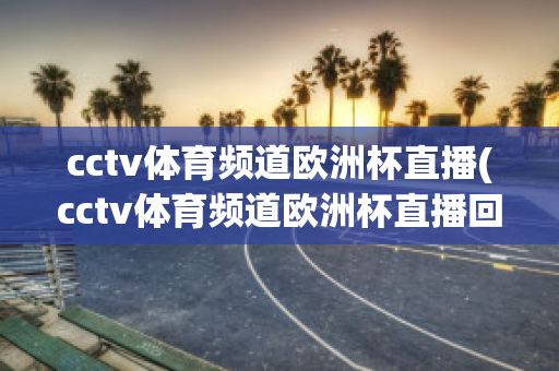 cctv体育频道欧洲杯直播(cctv体育频道欧洲杯直播回放)