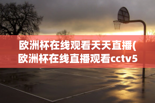 欧洲杯在线观看天天直播(欧洲杯在线直播观看cctv5)