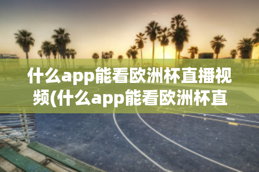 什么app能看欧洲杯直播视频(什么app能看欧洲杯直播视频的)