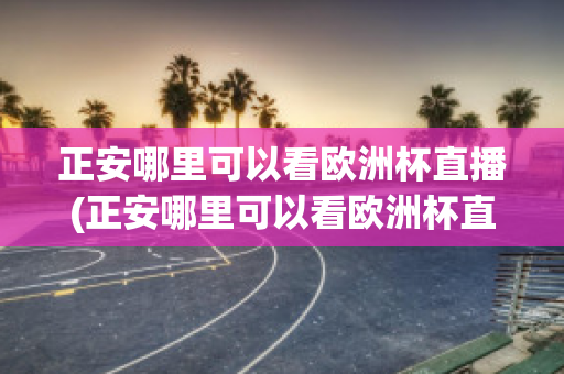 正安哪里可以看欧洲杯直播(正安哪里可以看欧洲杯直播的地方)