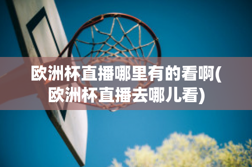 欧洲杯直播哪里有的看啊(欧洲杯直播去哪儿看)