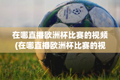 在哪直播欧洲杯比赛的视频(在哪直播欧洲杯比赛的视频回放)