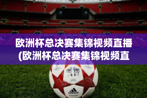 欧洲杯总决赛集锦视频直播(欧洲杯总决赛集锦视频直播在线观看)