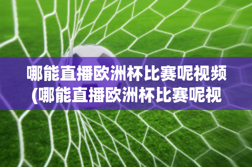 哪能直播欧洲杯比赛呢视频(哪能直播欧洲杯比赛呢视频下载)