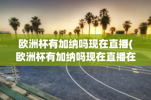 欧洲杯有加纳吗现在直播(欧洲杯有加纳吗现在直播在哪看)