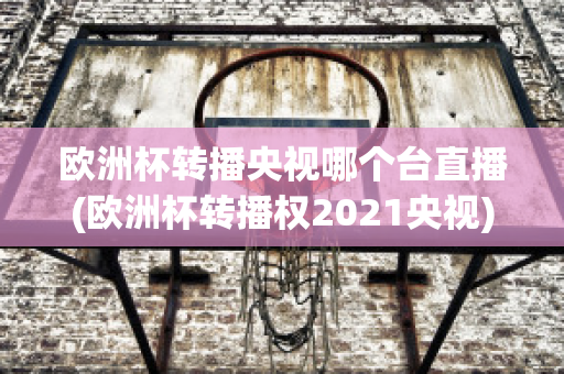 欧洲杯转播央视哪个台直播(欧洲杯转播权2021央视)