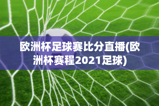 欧洲杯足球赛比分直播(欧洲杯赛程2021足球)