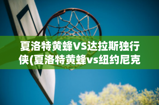 夏洛特黄蜂VS达拉斯独行侠(夏洛特黄蜂vs纽约尼克斯)