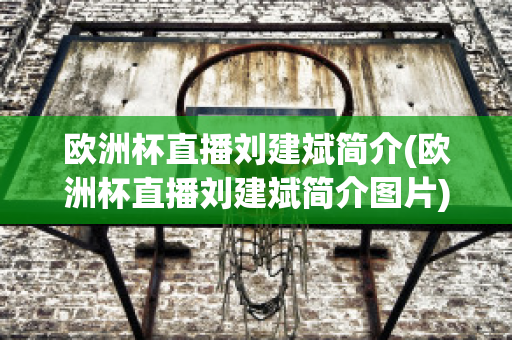 欧洲杯直播刘建斌简介(欧洲杯直播刘建斌简介图片)