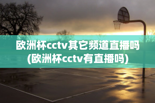 欧洲杯cctv其它频道直播吗(欧洲杯cctv有直播吗)