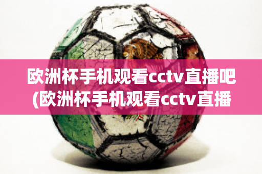 欧洲杯手机观看cctv直播吧(欧洲杯手机观看cctv直播吧视频)