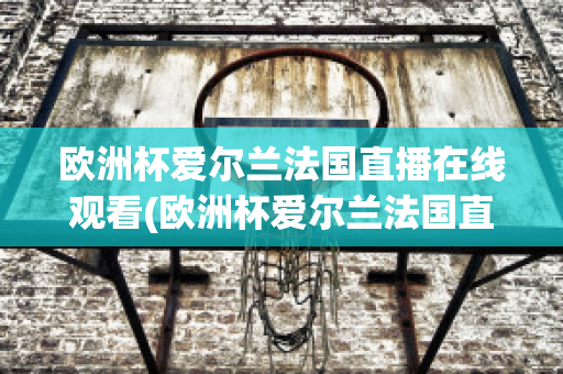 欧洲杯爱尔兰法国直播在线观看(欧洲杯爱尔兰法国直播在线观看高清)