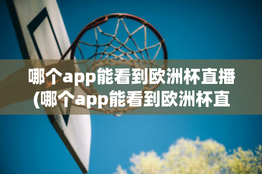 哪个app能看到欧洲杯直播(哪个app能看到欧洲杯直播视频)