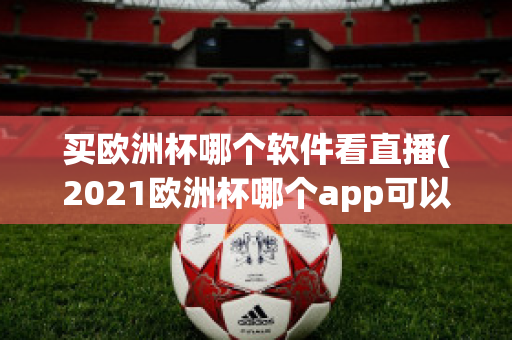 买欧洲杯哪个软件看直播(2021欧洲杯哪个app可以买球)