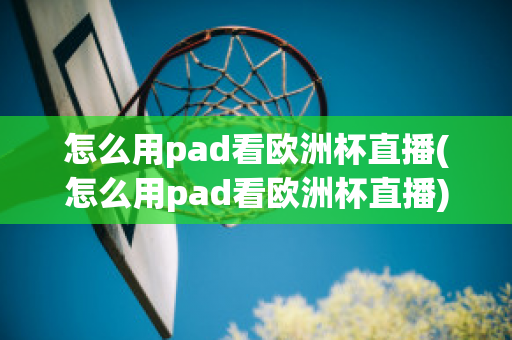 怎么用pad看欧洲杯直播(怎么用pad看欧洲杯直播)