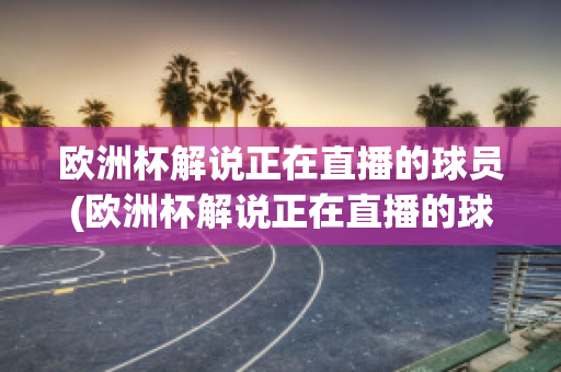 欧洲杯解说正在直播的球员(欧洲杯解说正在直播的球员有哪些)