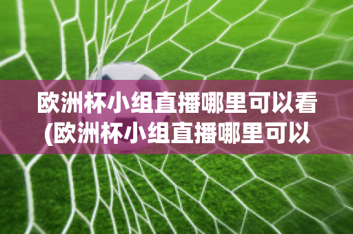 欧洲杯小组直播哪里可以看(欧洲杯小组直播哪里可以看回放)