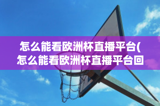 怎么能看欧洲杯直播平台(怎么能看欧洲杯直播平台回放)