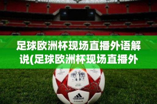 足球欧洲杯现场直播外语解说(足球欧洲杯现场直播外语解说员是谁)