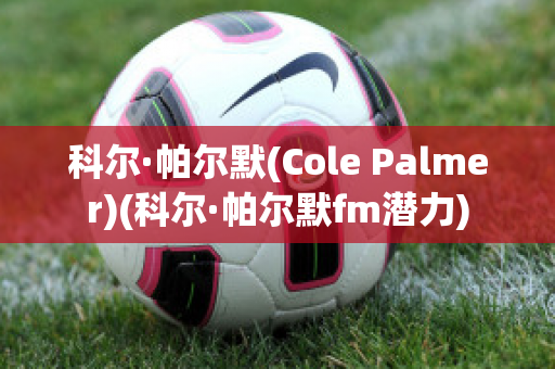 科尔·帕尔默(Cole Palmer)(科尔·帕尔默fm潜力)