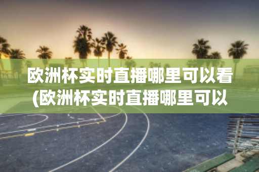 欧洲杯实时直播哪里可以看(欧洲杯实时直播哪里可以看到)