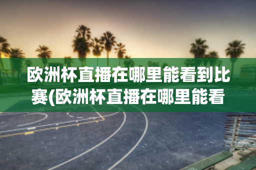 欧洲杯直播在哪里能看到比赛(欧洲杯直播在哪里能看到比赛结果)