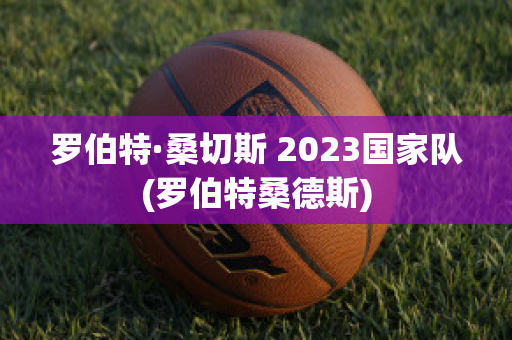 罗伯特·桑切斯 2023国家队(罗伯特桑德斯)