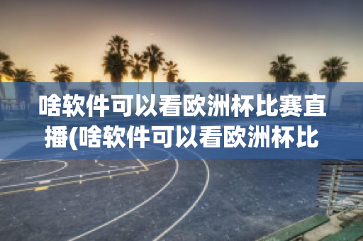 啥软件可以看欧洲杯比赛直播(啥软件可以看欧洲杯比赛直播的)