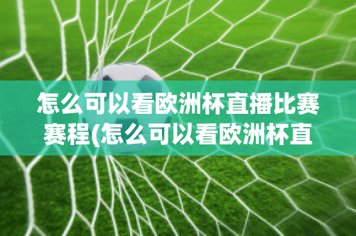 怎么可以看欧洲杯直播比赛赛程(怎么可以看欧洲杯直播比赛赛程视频)