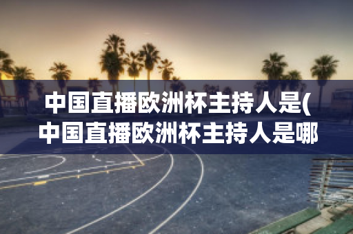 中国直播欧洲杯主持人是(中国直播欧洲杯主持人是哪个)