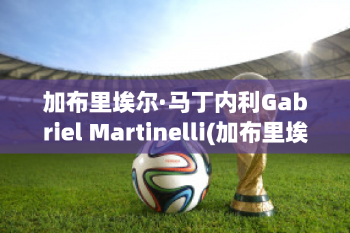 加布里埃尔·马丁内利Gabriel Martinelli(加布里埃尔·马丁内利号码)