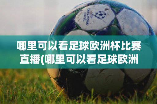 哪里可以看足球欧洲杯比赛直播(哪里可以看足球欧洲杯比赛直播回放)