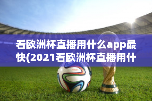 看欧洲杯直播用什么app最快(2021看欧洲杯直播用什么app)