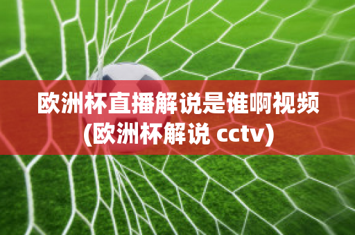 欧洲杯直播解说是谁啊视频(欧洲杯解说 cctv)