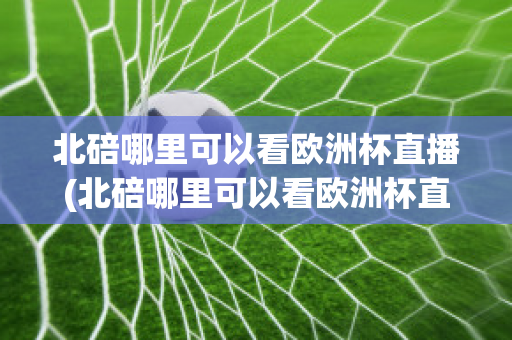 北碚哪里可以看欧洲杯直播(北碚哪里可以看欧洲杯直播的地方)