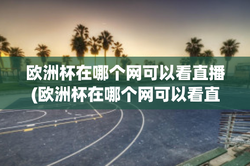 欧洲杯在哪个网可以看直播(欧洲杯在哪个网可以看直播啊)