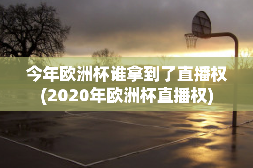 今年欧洲杯谁拿到了直播权(2020年欧洲杯直播权)