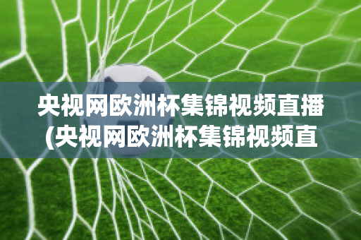 央视网欧洲杯集锦视频直播(央视网欧洲杯集锦视频直播在线观看)