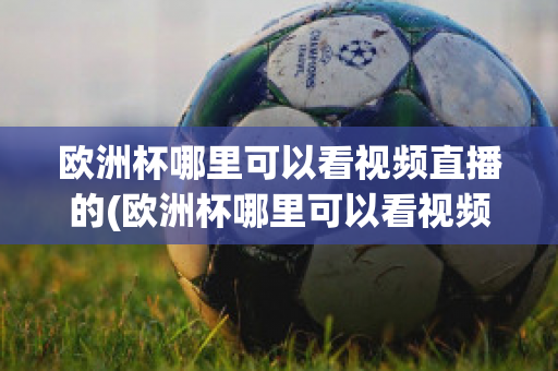 欧洲杯哪里可以看视频直播的(欧洲杯哪里可以看视频直播的平台)