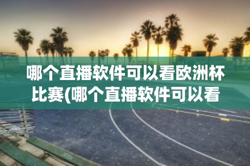 哪个直播软件可以看欧洲杯比赛(哪个直播软件可以看欧洲杯比赛视频)