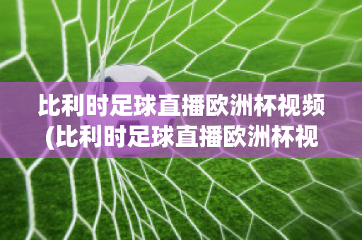 比利时足球直播欧洲杯视频(比利时足球直播欧洲杯视频在线观看)