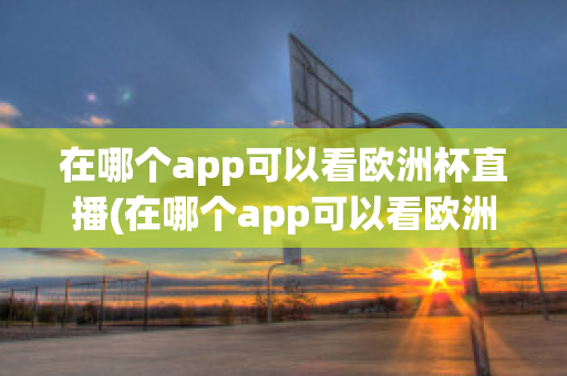 在哪个app可以看欧洲杯直播(在哪个app可以看欧洲杯直播视频)