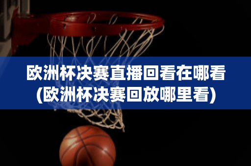 欧洲杯决赛直播回看在哪看(欧洲杯决赛回放哪里看)