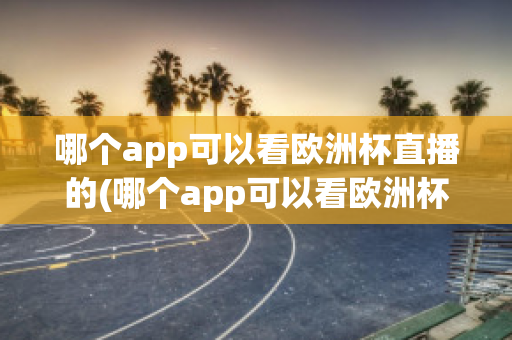 哪个app可以看欧洲杯直播的(哪个app可以看欧洲杯直播的视频)