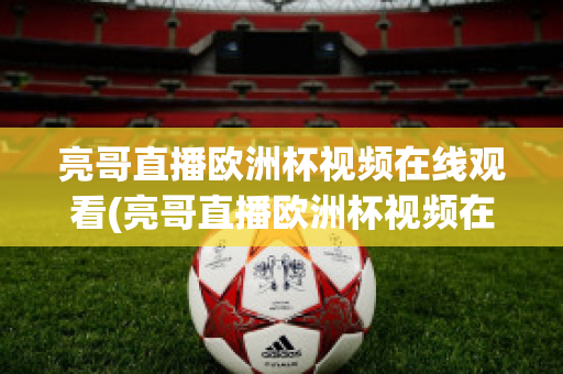 亮哥直播欧洲杯视频在线观看(亮哥直播欧洲杯视频在线观看下载)