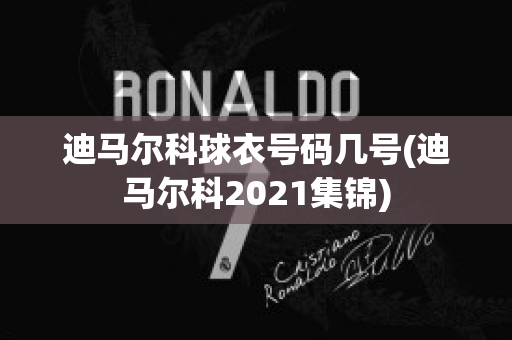 迪马尔科球衣号码几号(迪马尔科2021集锦)