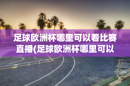 足球欧洲杯哪里可以看比赛直播(足球欧洲杯哪里可以看比赛直播回放)