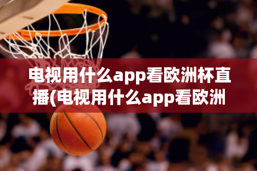 电视用什么app看欧洲杯直播(电视用什么app看欧洲杯直播免费)